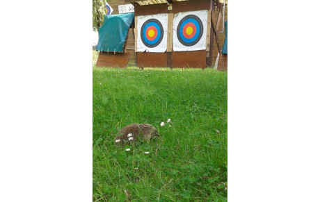 19.05.2015 - Un hôte qui ne manque pas de piquant...