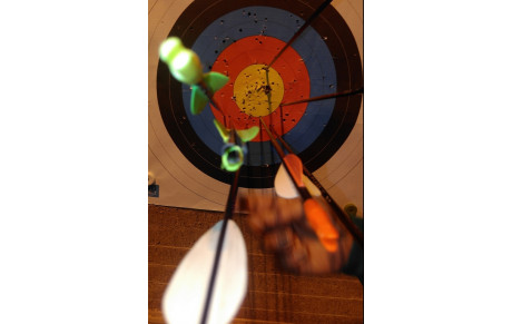 10.04.2016 - Un « Robin » à 20 mètres