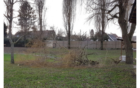 04.01.2018 - La visite d'Eleanor