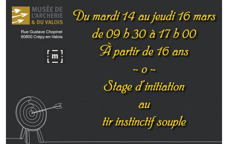 27.02.2023 - Tir instinctif souple
